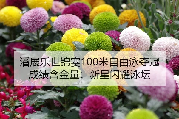 潘展乐世锦赛100米自由泳夺冠成绩含金量：新星闪耀泳坛